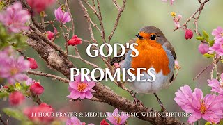 Gods Promises Worship Instrumental Music With Scriptures Christian Harmonies