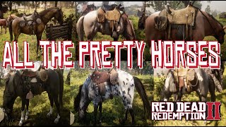 An Introduction to The Gang Horses of Red Dead Redemption 2