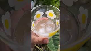 #tehkombucha #kombucha #brew&amp;bliss