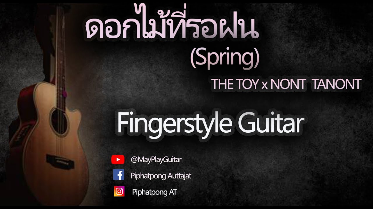 THE TOYS x NONT TANONT - ดอกไม้ที่รอฝน (spring) Fingerstyle Guitar ...