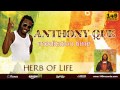 Anthony que herb of life 149 records  official