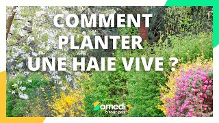 Comment planter une haie vive - Samedi à tout prix