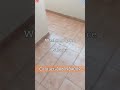 3 BHK Flat in Kaushambi, Ghaziabad | 1400 Sq Ft🏠 | Delhi NCR Property