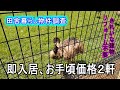 【物件調査】予想外に良かった2軒 実物見ないとわからない