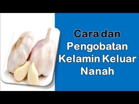 cara-konsumsi-bawang-putih-untuk-pengobatan-sperma-darah-dan-kelamin-nanah