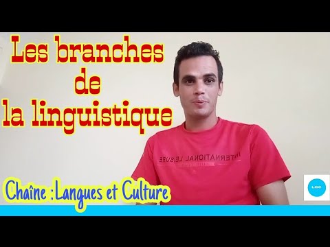 Vidéo: La sociolinguistique est-elle une branche de la linguistique ?