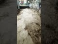 Swat's Bloody Celebrations: Dreadful Scenes of Saidu Bazaar,The entire market was flooded. #foryou