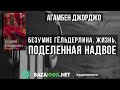 Безумие Гёльдерлина Жизнь поделенная надвое Агамбен Джорджо читать книгу