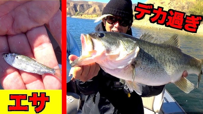 速報 英語力lv1がアメリカ行ってバス釣りができるのかやってみた すぺもんバス釣りアメリカ旅行3日目 Youtube 速報 英語力lv1がアメリカ行ってバス釣りができるのかやってみた すぺもんバス釣りアメリカ旅行3日目 Youtube
