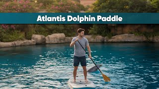 Atlantis Dolphin Paddle Experience Dubai | Paddle with Dolphins at Atlantis The Palm