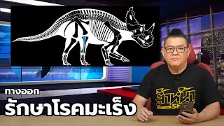 ทางออกวิธีรักษาโรคมะเร็ง อาจซ่อนในฟอสซิลไดโนเสาร์