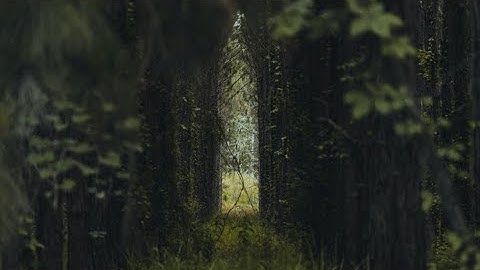 3.2 Developing an Entrepreneurial Mindset - Problem-Solving