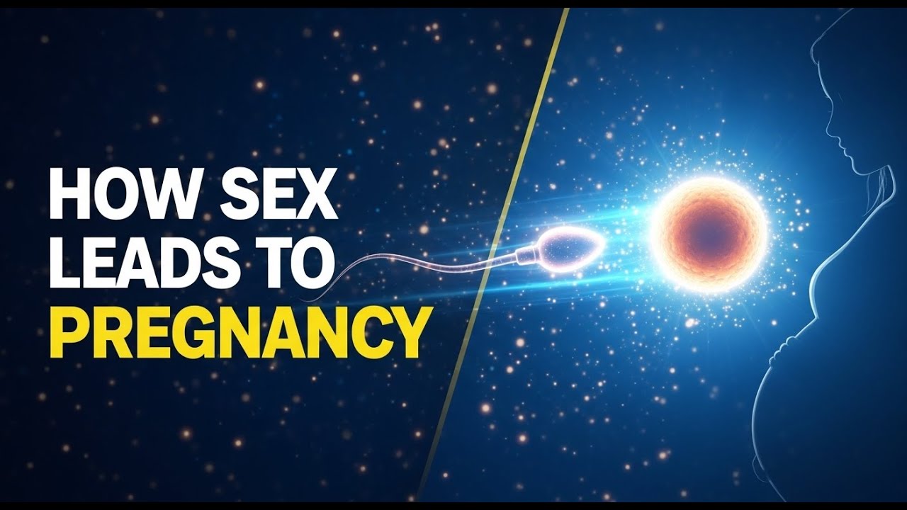 How Does Sex Cause Pregnancy? | Simple Step-by-Step Pregnancy
