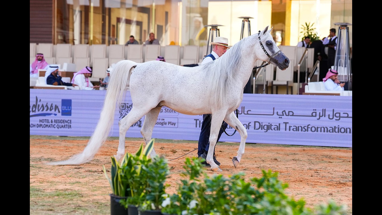 مهرجان الأمير سلطان بن عبدالعزيزالعالمي للجواد العربي - 2026