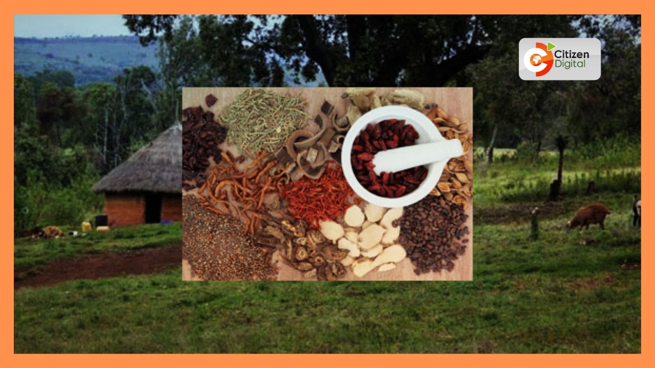 Serikali yatakiwa kubuni sera ya dawa za mimea ya kiasili