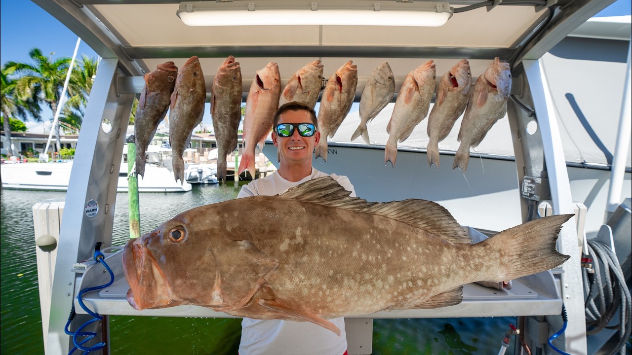 Florida's Most EXPEN$IVE Fish... Catch Clean Cook! (Grouper)
