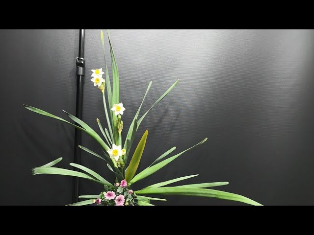 池坊立花水仙一色小ぶり編 - YouTube