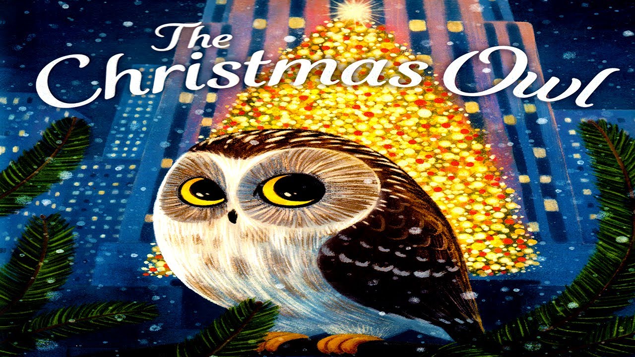 Christmas　By　Santa　Hat　Owl　Bird　Illustration　With　Norman　W