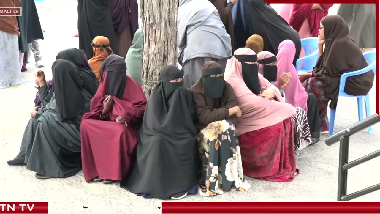 "Dadka dhiigbax ayay u dhinteen badankoood" Dr.Mohamed Dhoodi  madaxa caafimaadka Somali Sudaanees.