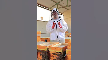 خرافات العسل استخدام الملعقة الخشب والحديد يؤثر على جودة العسل 