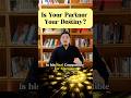 Are your two life cycles aligned? Does their energy feel safe? #bazi #fengshui #marriageadvice
