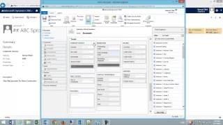 CRM 2013 Tabs vs Sections