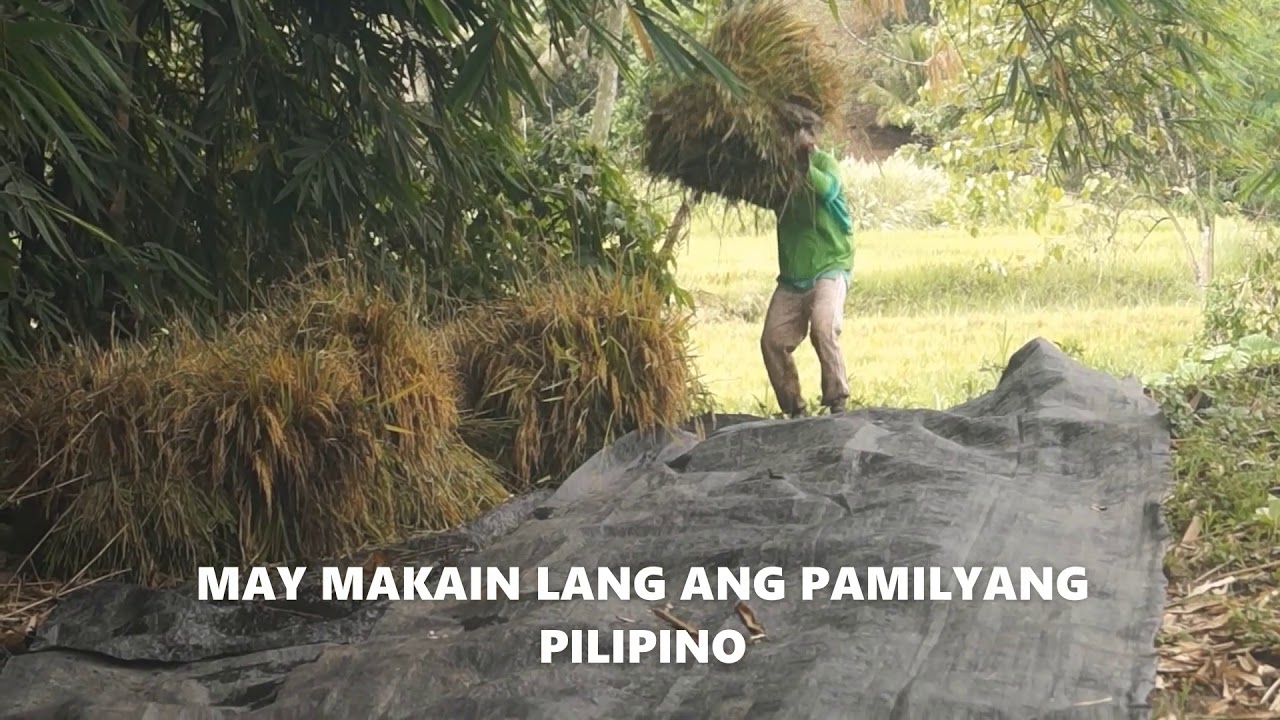 Ano ang paghihirap ng mga magsasaka may makain lang ang pamilyang Pilipino