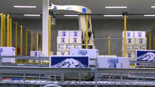 Washington Fruit Apple Processing Facility