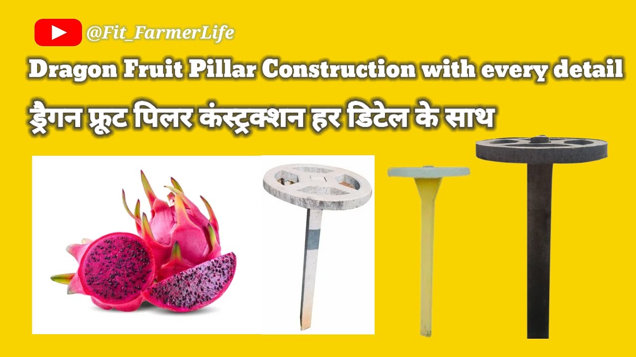 Dragon Fruit Pillar Construction with every detail 