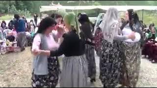Gaydırı Gubbak Cemile