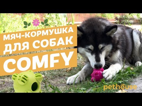 Comfy Мяч-кормушка для собак | Обзор зоотоваров pethouse.ua