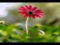 داود حمزة ق ال وا ه ذ ا س ح ر م ب ين داود حمزة ق ال وا ه ذ ا س ح ر م ب ين