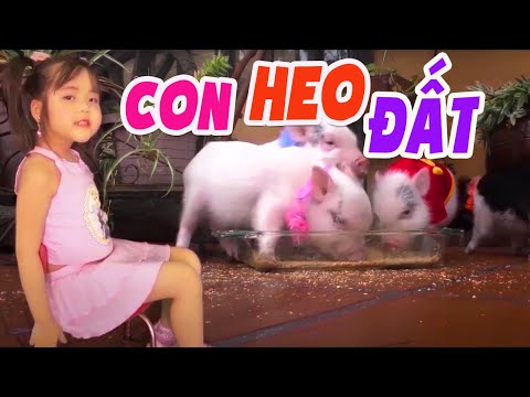Video Liên Khúc CON HEO ĐẤT - HAI CON THẰN LẰN CON - Bé Minh... - youtube