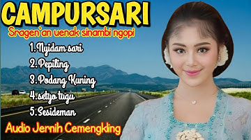 CAMPURSARI KOPLO JAWA SRAGEN AN SINAMBI NGOPI JOSS GANDOS #campursari
