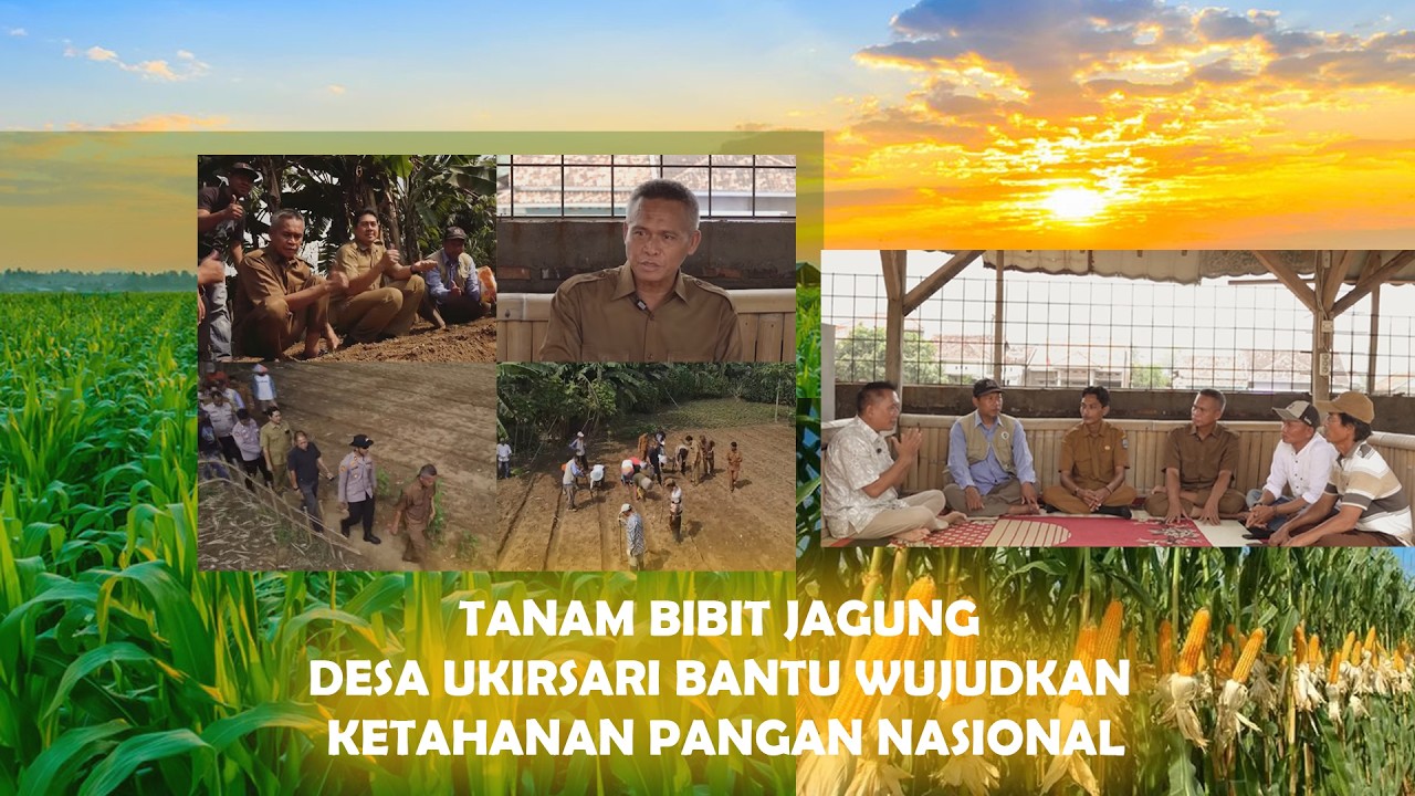 TANAM BIBIT JAGUNG DESA UKIRSARI BANTU WUJUDKAN KETAHANAN PANGAN  NASIONAL