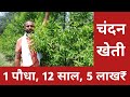 1 acre 12 years earning crores sandalwood farming farmers farming