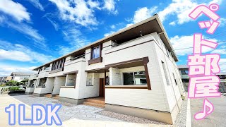 かわいいペット可賃貸アパート一人暮らし部屋１LDKお部屋紹介