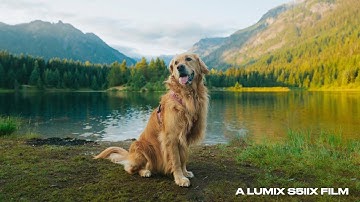 LUMIX Presents: Shutter Showdown — SUNSET SHOT by Fritz Bacon