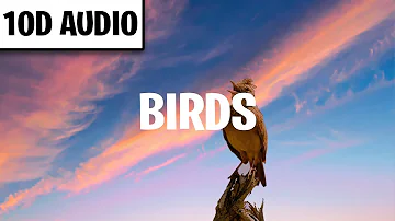 Imagine Dragons - Birds (10D Audio) ft. Elisa