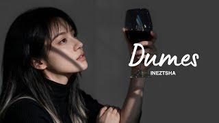 Dumes – Cover by Ineztsha