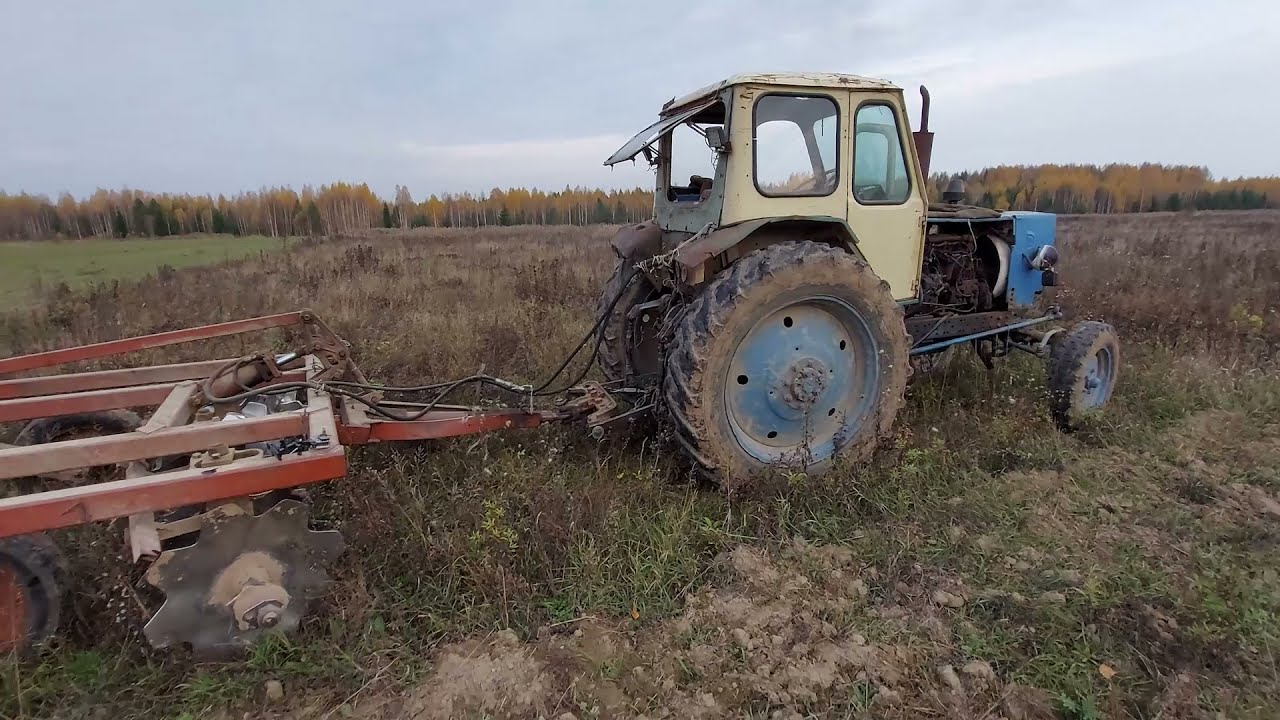 Сальник бдт 3