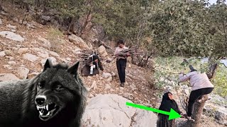 Download Lagu The story of Fatima and Hamza in the heart of the mountain; firewood and wild animals MP3 Download Lagu The story of Fatima and Hamza in the heart of the mountain; firewood and wild animals MP3