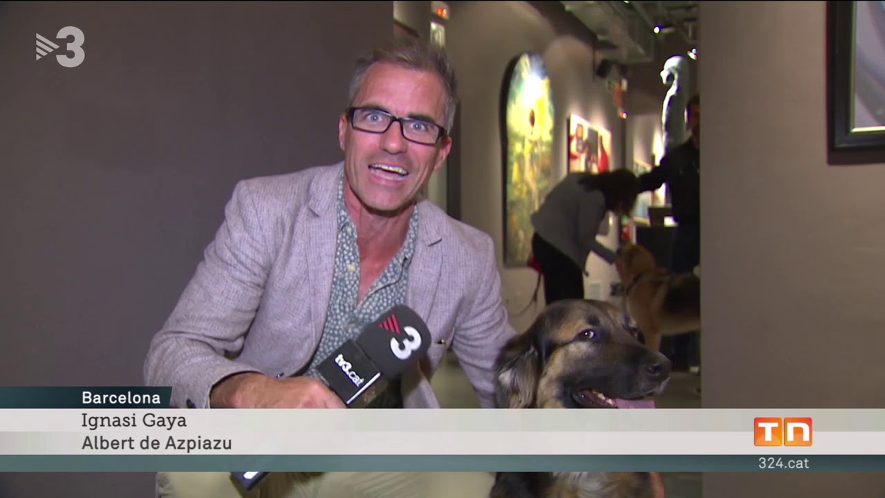 goodlucky 歌詞 Vídeo MEAM por TV3