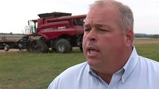 Ohio soybean farmers begin harvest unsure of the road ahead