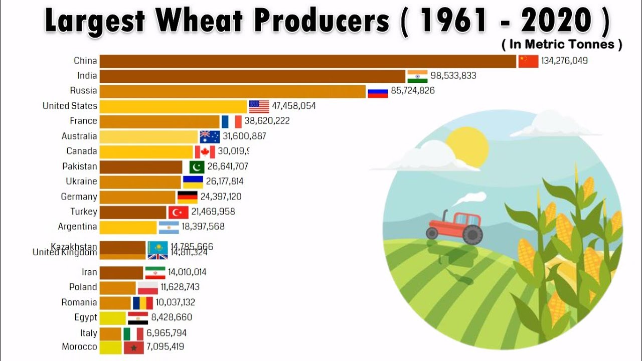 World's Largest Wheat Producers ( 1961 2020 ) YouTube