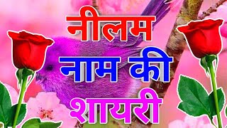 Download Lagu Neelam name ki shayari🌹 Neelam name status video🌹 Neelam ji ke liye Shayari video🌹 Neelam name 🌹 MP3
