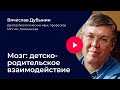 Вячеслав Дубынин. «Мозг: детско-родительское взаимодействие»