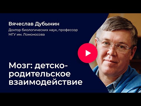 Вячеслав Дубынин. «Мозг: детско-родительское взаимодействие» Вячеслав Дубынин. «Мозг: детско-родительское взаимодействие»