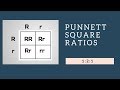 Genotype And Phenotype Ratios In Genetics