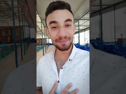 ليه الستات بيحبو الرجالة اللي عندهم دقن